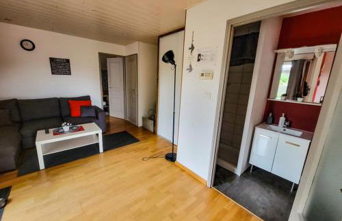 Terrasses du Zimmerberg - Photo 8