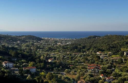 RARE Soggiorno Elegante - Foto 12