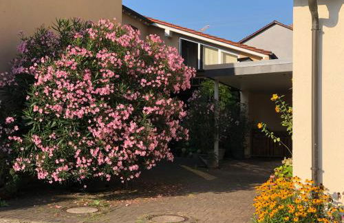 Ferienwohnungen In de goldisch Luft - Foto 1