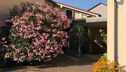 Ferienwohnungen In de goldisch Luft - Foto 1