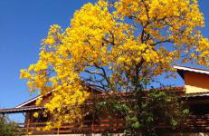 Chácara da Dinda - Photo 1