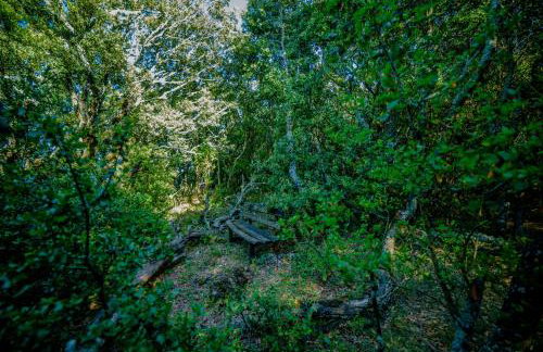 Menecrates Rustic - San Matteo - Photo 48