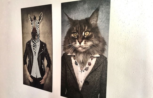 Belle Kitz Apartment 3 - Foto 16