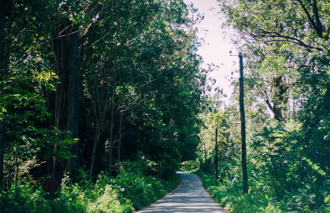 Tour privado de 9 días por Madagascar - Foto 8
