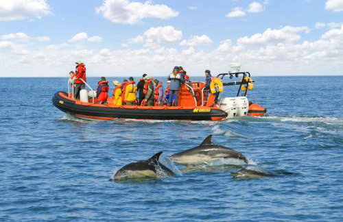 Crug Y Felin - Foto 35