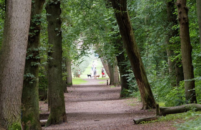 Luxurious Apartment Near the Pleasant Centre of Bergen - Foto 20