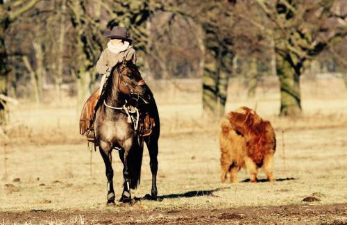 W Diamonds Ranch - Photo 16