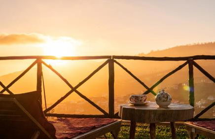 Casa dos Avos - Photo 1