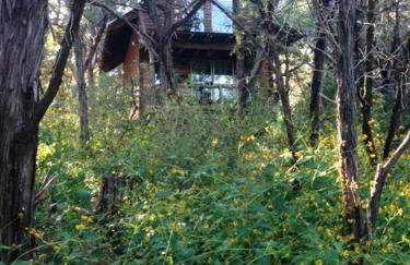 The Firehouse at Creekside Camp & Cabins - Foto 5