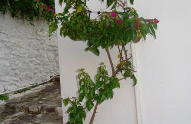 FOTIS HOUSE - Photo 31