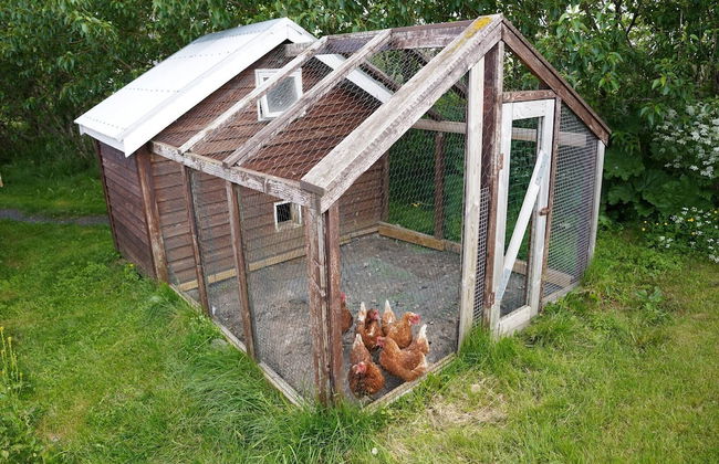 Hólakot Cabin In Golden Circle - Foto 66