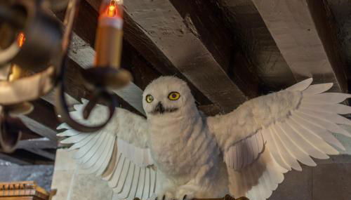 Sorcier magique - immersive cinema 4k laser & Air-cond & Parking - Foto 2