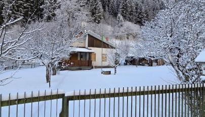 La Casa di Luisa, Un tuffo nel verde! - Foto 3