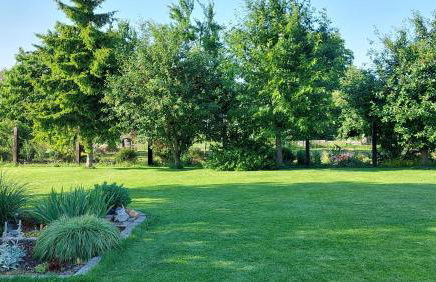 Ferienwohnung MaRi - Foto 14