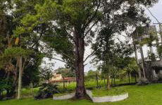 Chácara Monteiro - Próximo ao Thermas Water Park - Foto 13