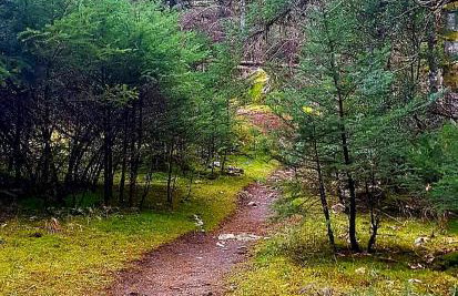 Elati Hills - Photo 44