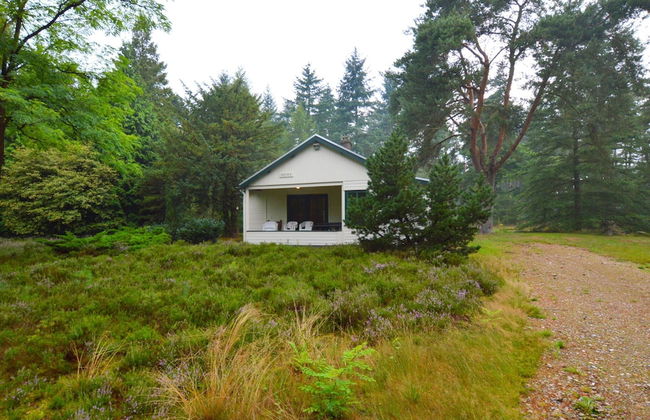 Cosy Holiday Home in Maarheeze With Verandah - Foto 42