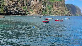 Silva House - Foto 3