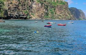 Silva House - Foto 3