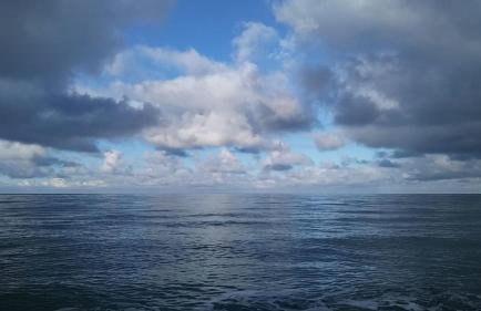 Fewo Zwergseeschwalbe - Ostsee at its best! - Foto 20