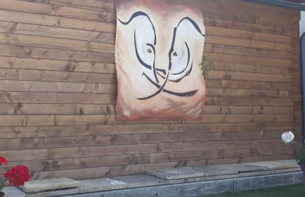 prehistogite - Foto 38