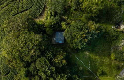 The Cwtch - Woodland cabin with country views! - Photo 4