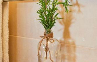 Cottage da Paradinha: Passadiços do Paiva - Arouca - Foto 10