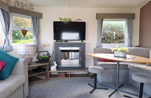 The Hummingbird - Photo 6