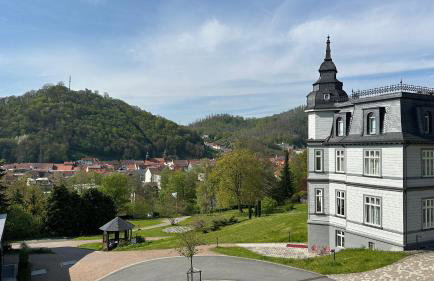 Schön Hier - im Harz - Foto 13