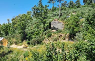 Monkey Tiny Barnhouse with amazing views at ZevariClub! - Foto 22