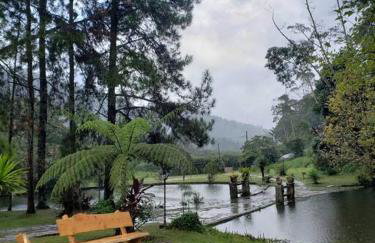 Friburgo Lagos p Pesca,Banho,Sauna,Campinho - Foto 75