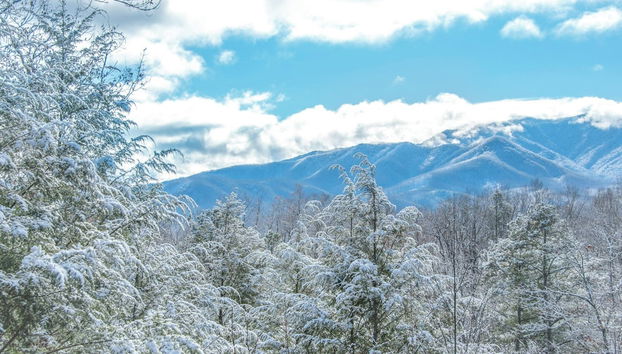 Servicios del alojamiento