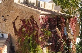 Los Caños de La Casa Viva - Foto 42