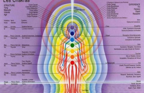 KOTA Finlandais bien être , les gîtes de l'étang - Foto 43