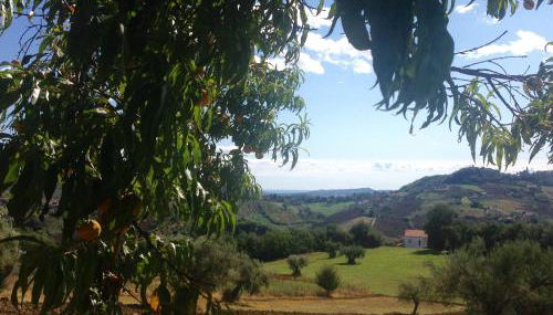 Agriturismo Le Macine-Poggio Cono - Foto 2