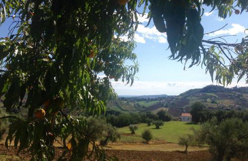 Agriturismo Le Macine-Poggio Cono - Foto 2