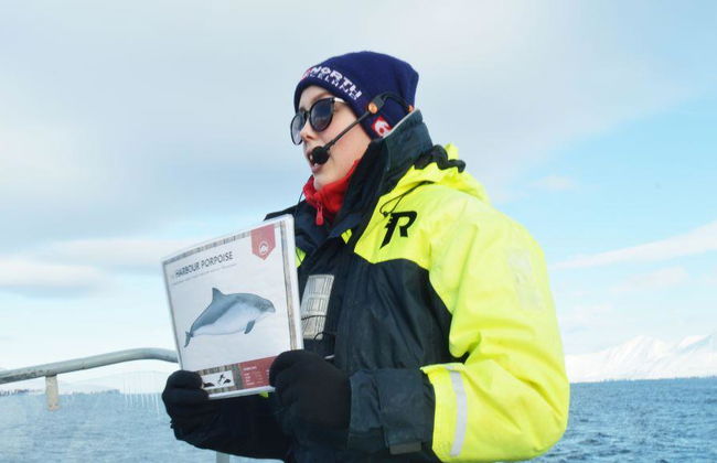 Avvistamento Classico di Balene da Dalvík - Foto 10