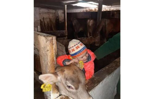 at Gallus - Wetterstein - Foto 21