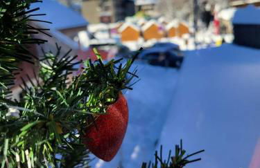 Duplex les Myrtilles LES CARROZ centre station - Photo 43