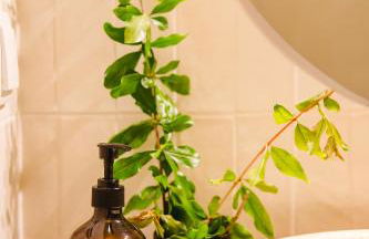 Casa Maria Avieira - Foto 30