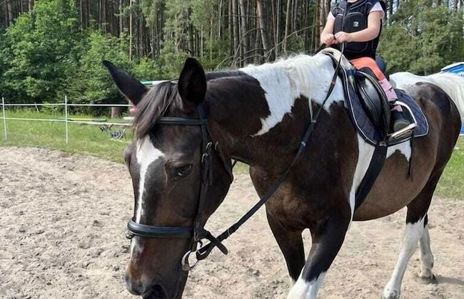 tuŻur Domki Nad Potokiem - Foto 31