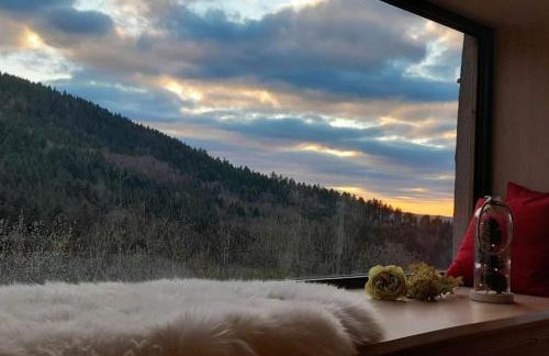 RELAX CHALET Nature Retreat - isolé sur 3 hectares - confort de LUXE - maison entière 150m2 - près de La Bresse - Foto 12