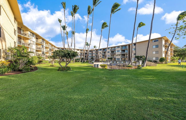 Kanai A Nalu 211 - Foto 43