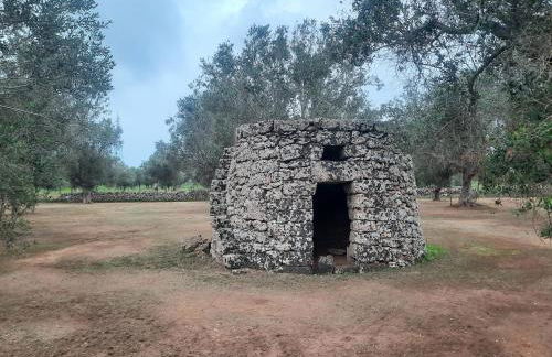 Casetta Manila - Foto 31