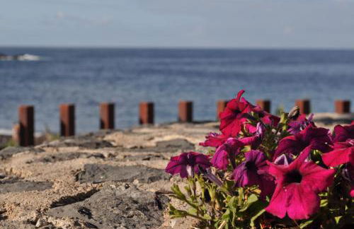 Luar del Carmen - Foto 55