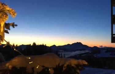 Avoriaz le M1212 - Photo 29