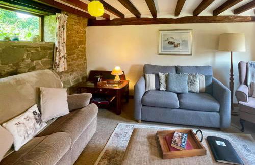 Jinney Ring - Foto 4