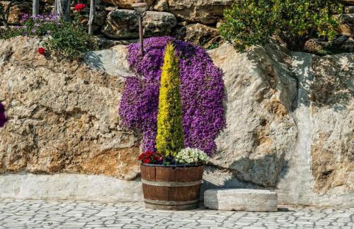 Il Giardino dei Flintstones B&B - Foto 56