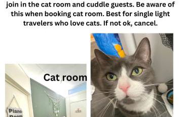 Cat Room by Delicate Stays LIVING ROOM CONVERSION SHARED SPACE ROOM ONLY CAT FRIENDLY ONLY 25 min to time square - Foto 2