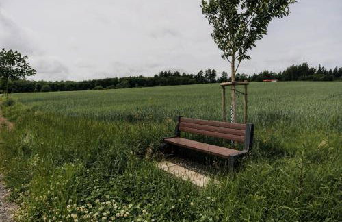 FeWo Vulkaneifelzeit / nahe Nürburgring - Foto 18